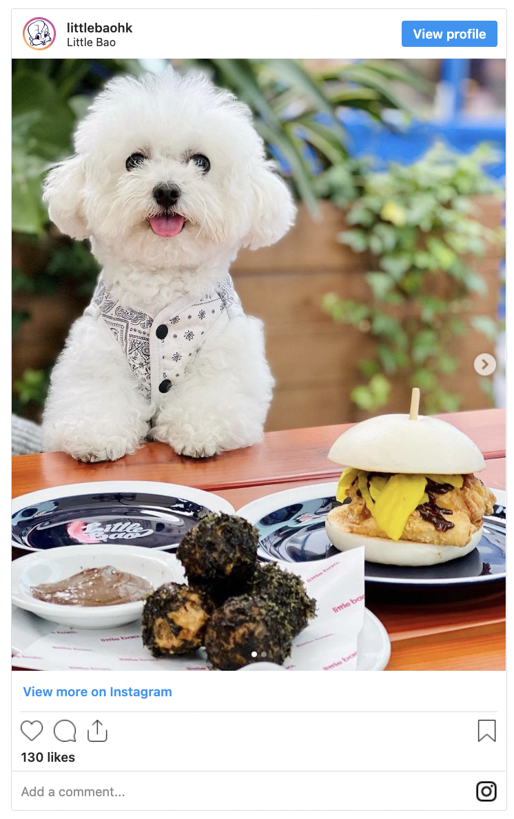 are dogs allowed in restaurants in hong kong